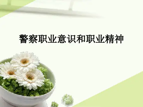 警察职业意识和职业精神
