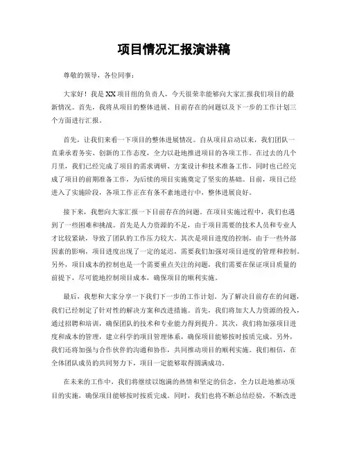 项目情况汇报演讲稿