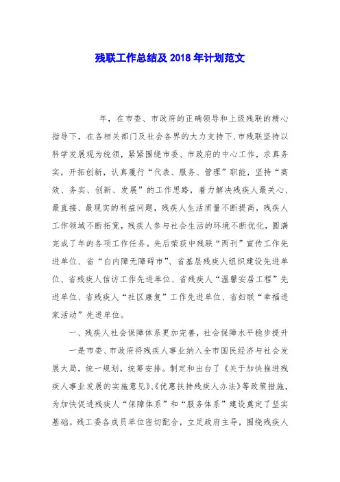残联工作总结及2018年计划范文