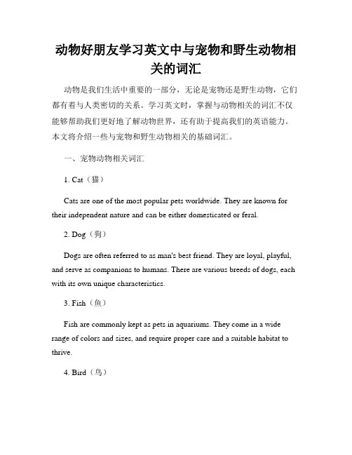 动物好朋友学习英文中与宠物和野生动物相关的词汇