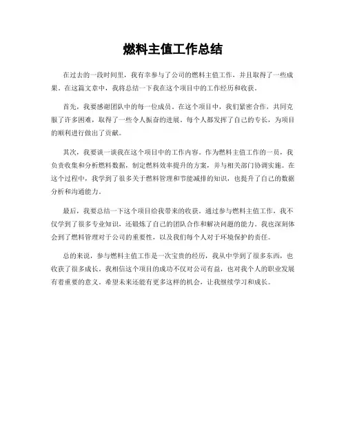 燃料主值工作总结