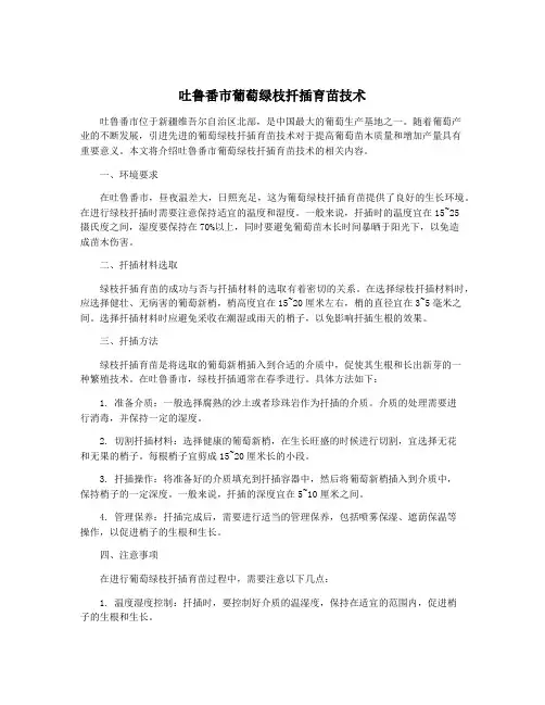 吐鲁番市葡萄绿枝扦插育苗技术