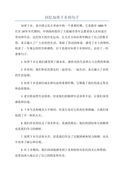 回忆知青下乡的句子