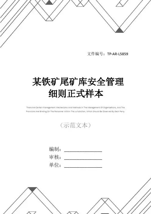 某铁矿尾矿库安全管理细则正式样本