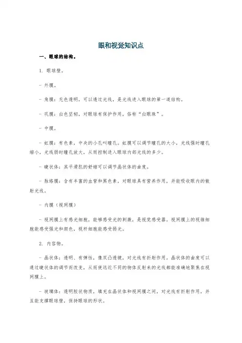 眼和视觉知识点