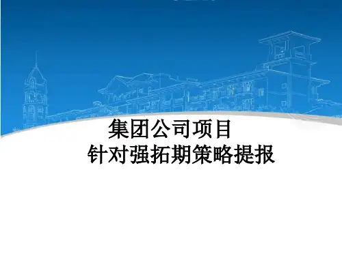 碧桂园新项目开盘前营销策略汇报