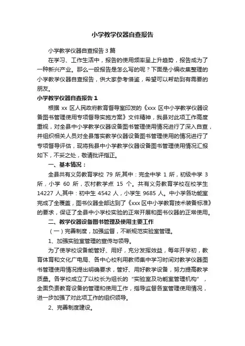 小学教学仪器自查报告