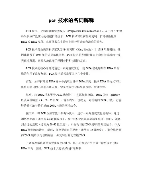 pcr技术的名词解释