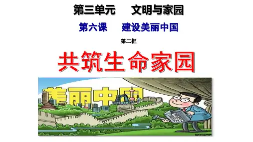 共筑生命家园  部编版道德与法治九年级上册
