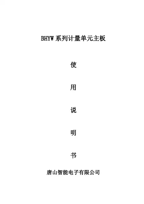 BHYW计量控制单元主板使用说明书