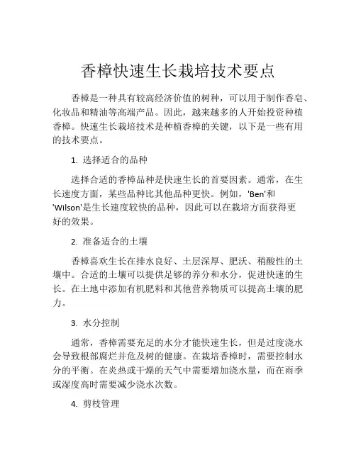 香樟快速生长栽培技术要点