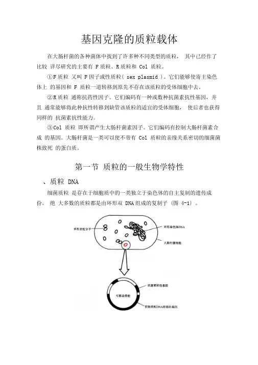(整理)基因克隆的质粒载体