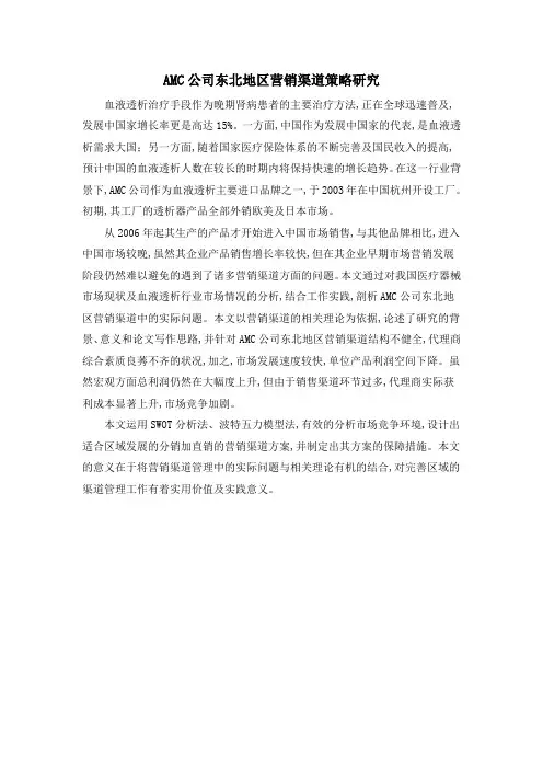 AMC公司东北地区营销渠道策略研究