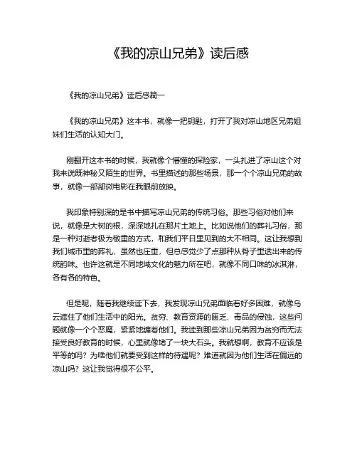 《我的凉山兄弟》读后感
