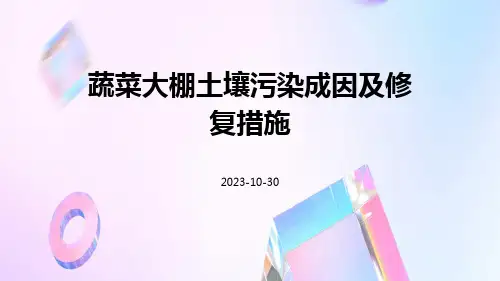 蔬菜大棚土壤污染成因及修复措施