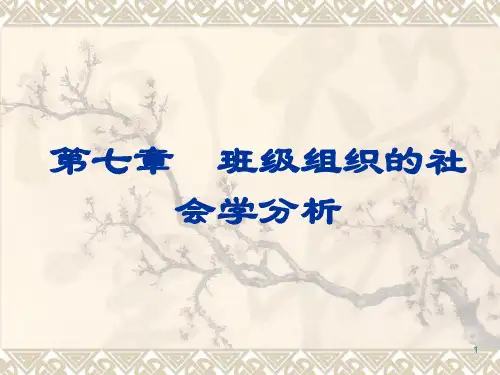教育社会学第七章 班级组织的社会学分析[精]