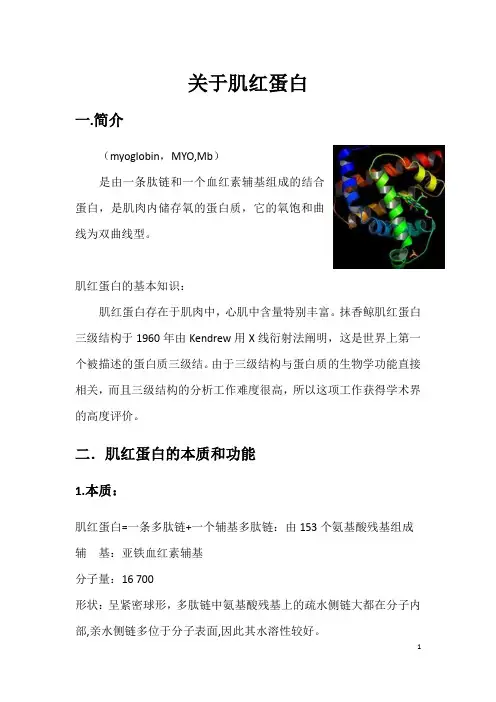 关于肌红蛋白