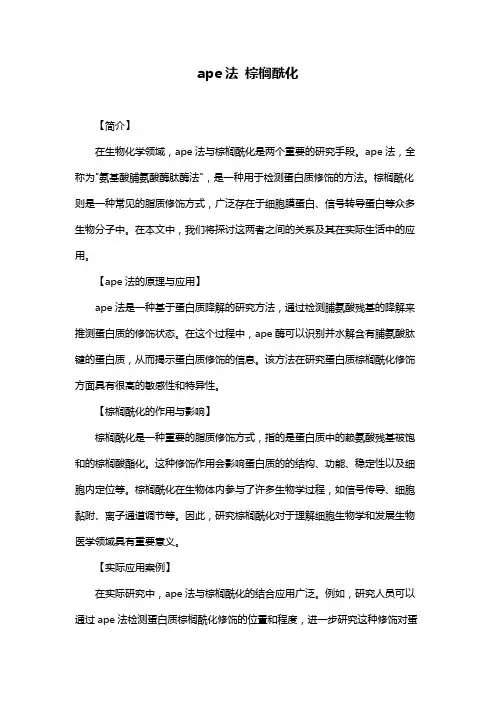 ape法 棕榈酰化
