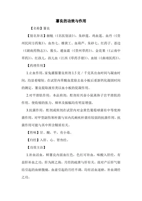 新编医药常识薯良的功效与作用