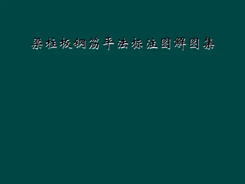 梁柱板钢筋平法标注图解图集