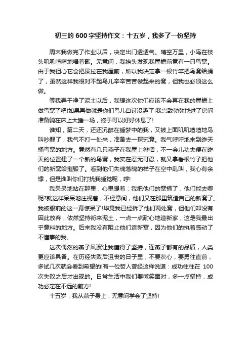初三的600字坚持作文：十五岁，我多了一份坚持