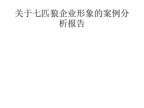 关于七匹狼企业形象的案例分析报告