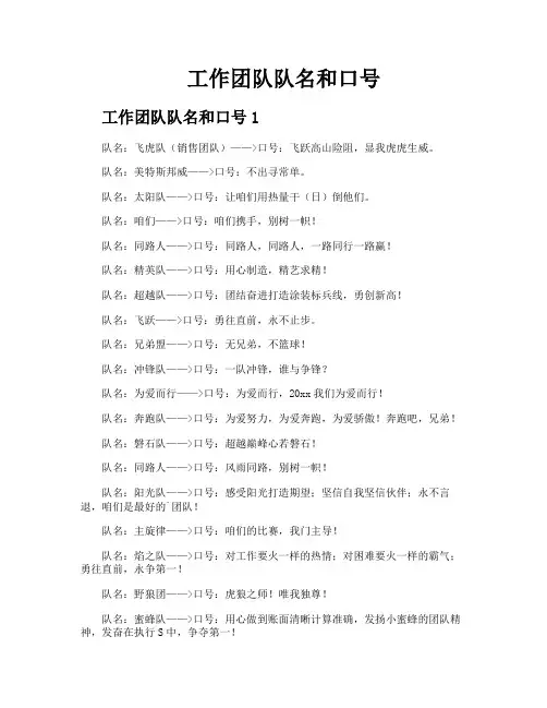 工作团队队名和口号