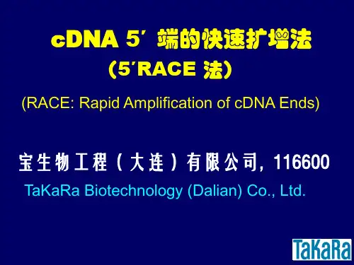 5`-RACE(Takara)