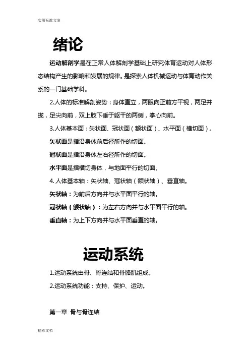 运动解剖学知识点