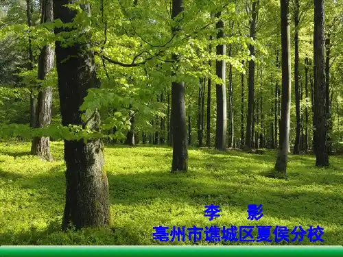 《从现在开始》课件
