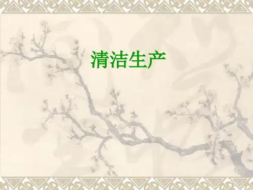 第六讲    清洁生产精品PPT课件