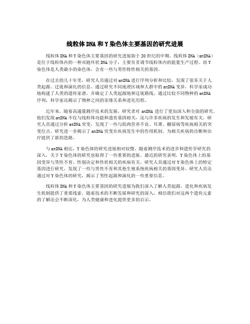 线粒体DNA和Y染色体主要基因的研究进展