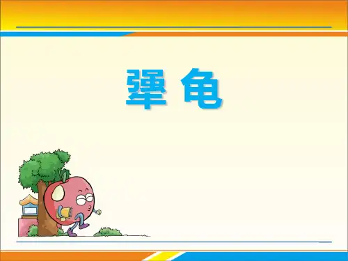《犟龟》PPT下载