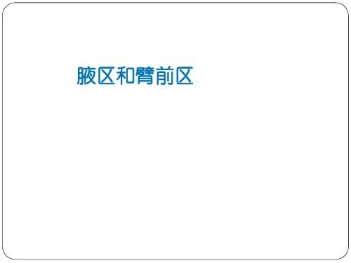 局部解剖-腋区臂前区-- 复旦大学精品
