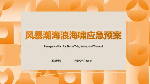 2023年风暴潮海浪海啸和海冰灾害应急预案模板;