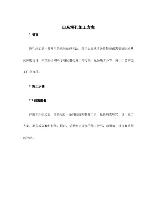 山东潜孔施工方案
