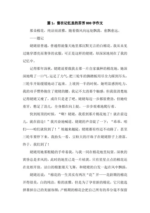 留在记忆里的芬芳800字作文【精选8篇】