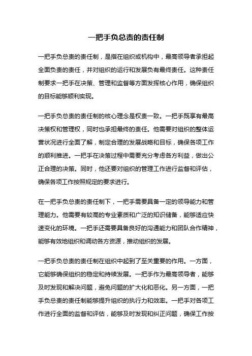 一把手负总责的责任制