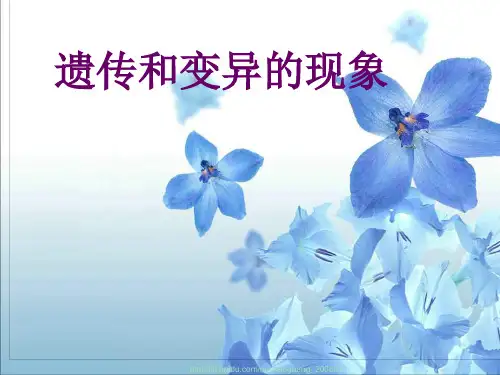 遗传和变异现象-北师大版八上精品PPT教学课件
