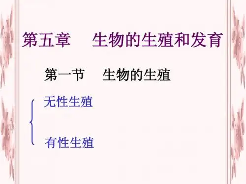 生殖的类型
