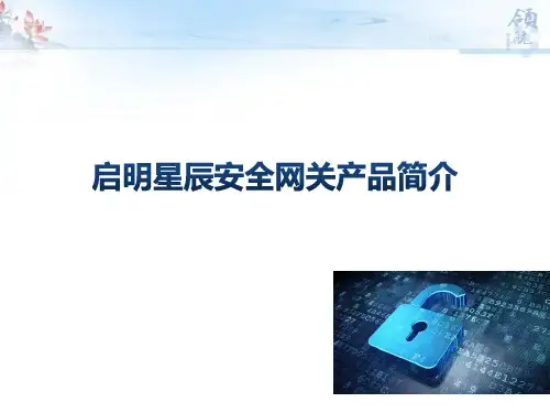 启明星辰安全网关产品简介