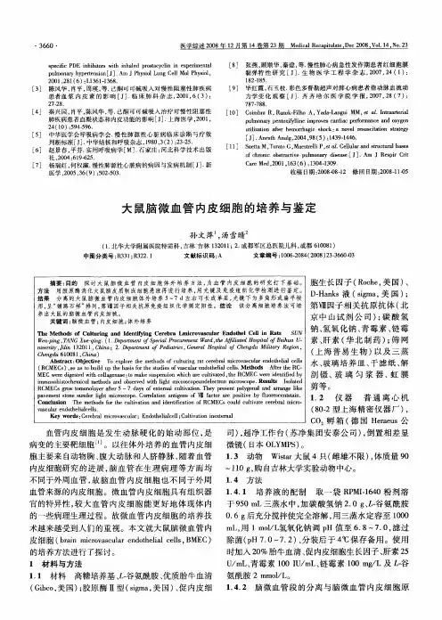 大鼠脑微血管内皮细胞的培养与鉴定