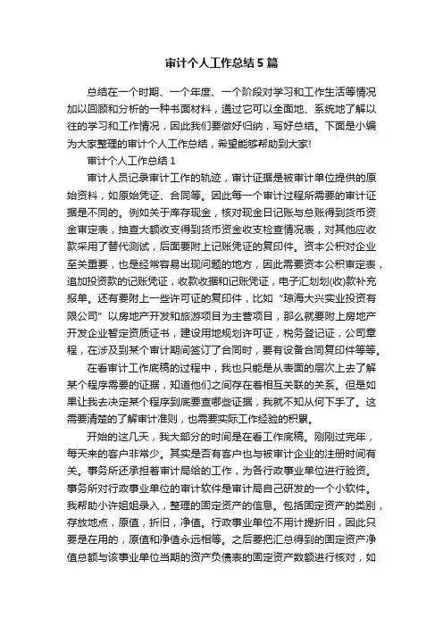 审计个人工作总结5篇