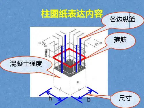 柱配筋图讲解