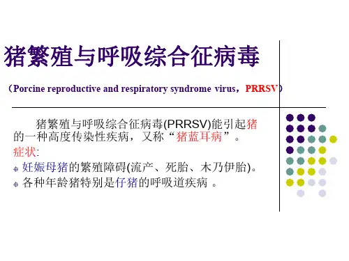 猪繁殖与呼吸综合征病毒