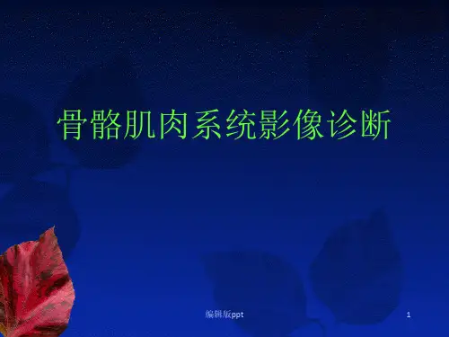 骨骼肌肉系统影像诊断ppt课件