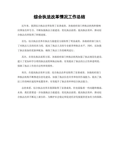 综合执法改革情况工作总结