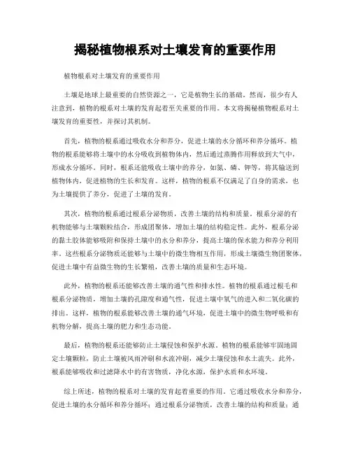揭秘植物根系对土壤发育的重要作用