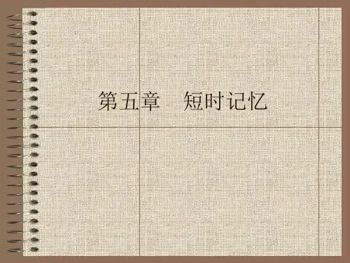 第五章 短时记忆介绍