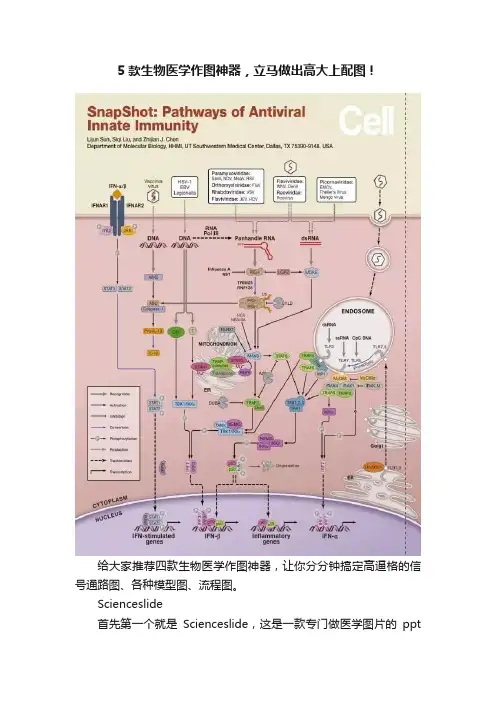 5款生物医学作图神器，立马做出高大上配图！